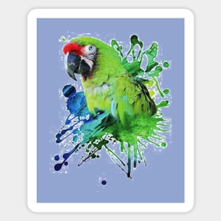 Tropical Parrot Sticker